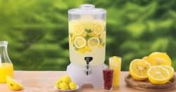 Beverage dispenser full of lemon slices and berries in vodka