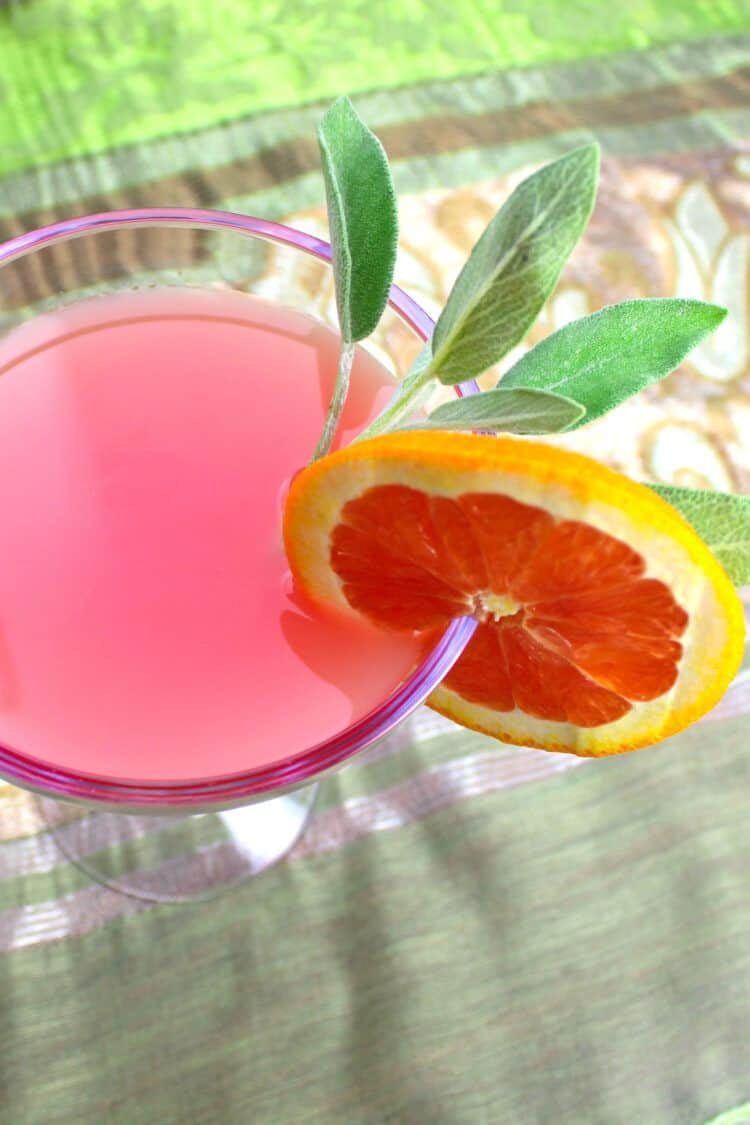 Blood Orange Margarita with sage sprig and orange wheel