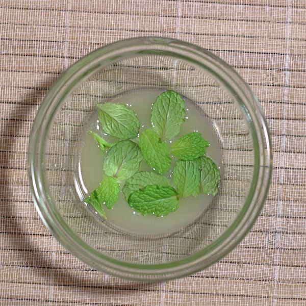 Mint leaves in the bottom of the bowl with lime juice