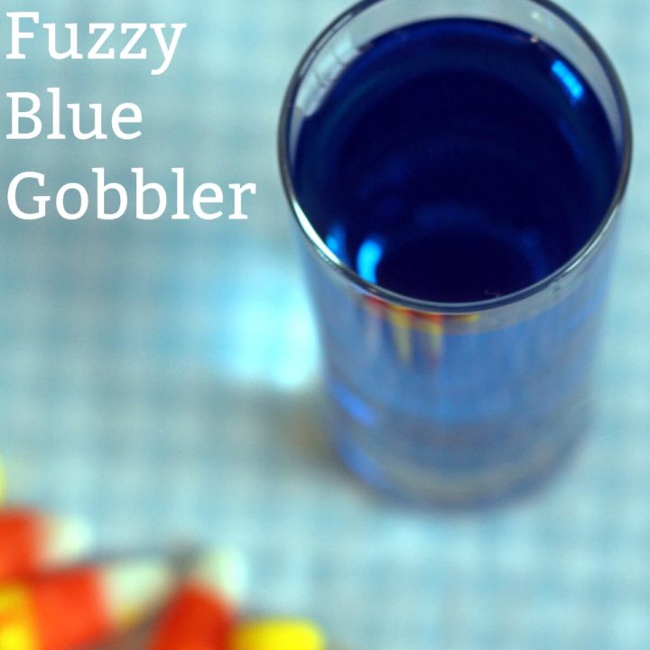 Overhead view of Fuzzy Blue Gobbler on table with candy corn