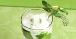 Nojito Mocktail with mint garnish on green placemat