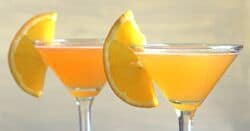 Closeup of Pilgrim Cocktails with orange slices