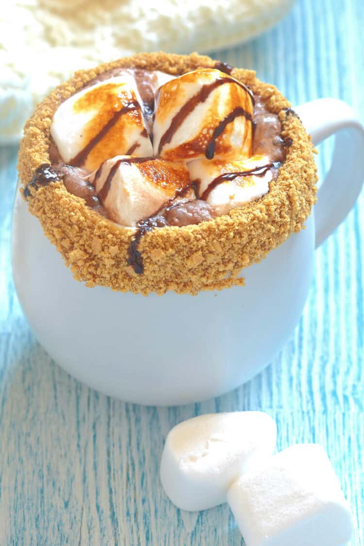 S’mores Hot Cocoa drink with whipped cream and graham cracker