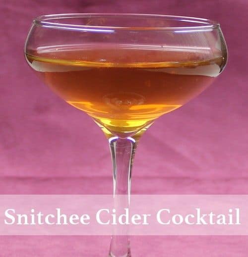 Snitchee's Cider drink  in champagne saucer