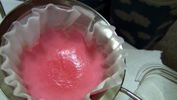Pink gunk sitting in coffee filter and sieve after being filtered