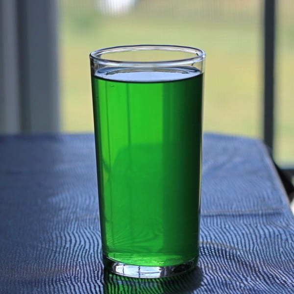 Sweet Tart drink backlit by window