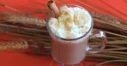Thanksgiving cocktail with whipped cream and cinnamon sticks