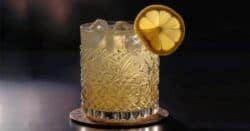 Vera Highball with lemon slice